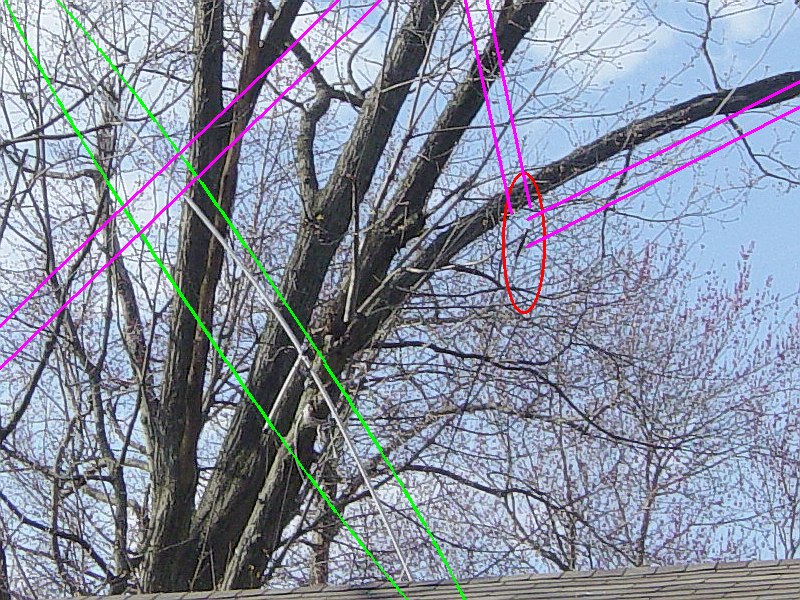 HF antenna photo HF antenna photo